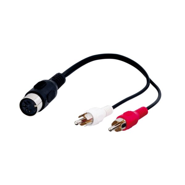 ADAPT. DIN 5pin M > 2xRCA M
